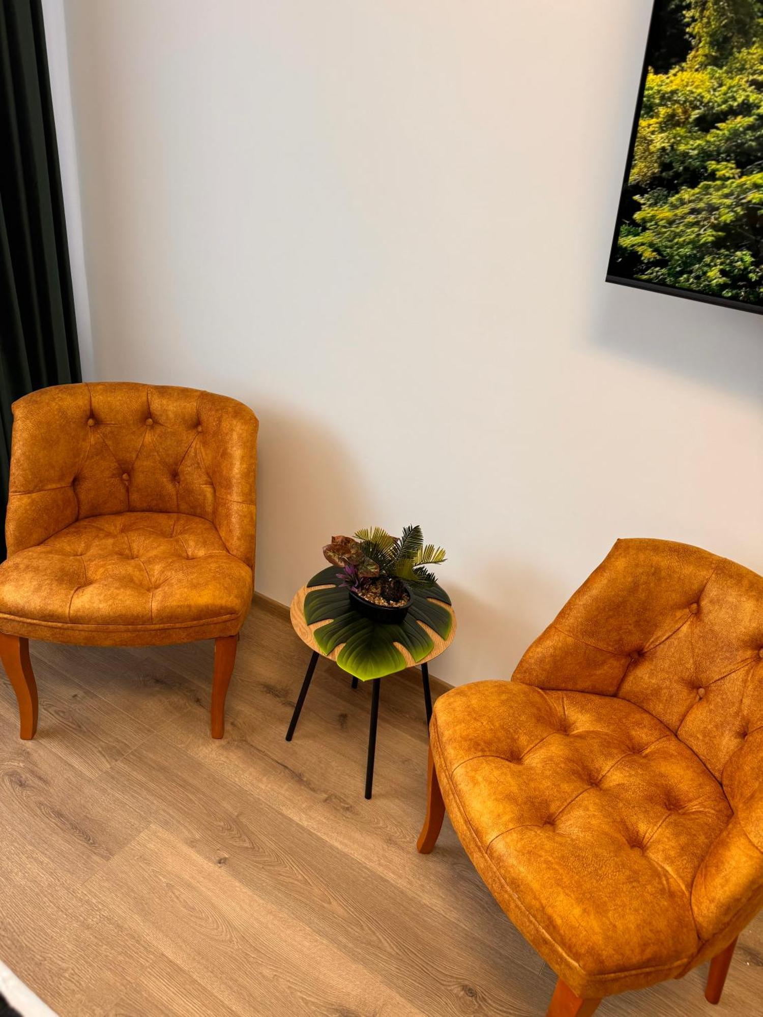 Jungle Loft Appartement Suceava Buitenkant foto